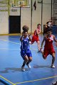 basket8570047