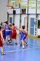 basket8570051