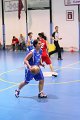 basket8570052