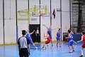 basket8570054