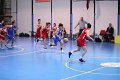 basket8570055