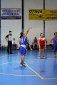 basket8570056