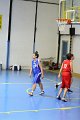basket8570057