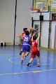 basket8570065