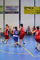 basket8570067