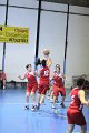 basket8570071