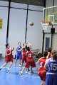 basket8570072