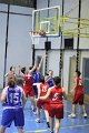 basket8570073