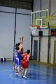 basket8570079