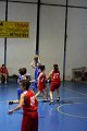 basket8570081