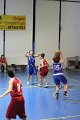 basket8570082