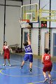 basket8570083
