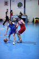 basket8570084