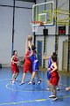 basket8570087