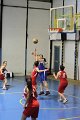 basket8570091