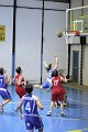 basket8570093