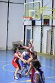 basket8570096