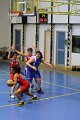 basket8570097