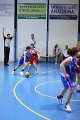 basket8570098
