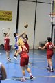 basket8570099