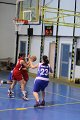 basket8570100