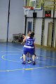 basket8570101