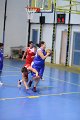 basket8570103