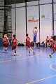 basket8570111