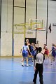 basket8570116