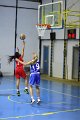 basket8570118
