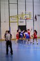 basket8570119