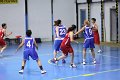 basket8570121