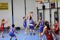basket8570122