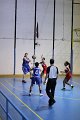 basket8570124