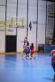 basket8570127