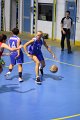 basket8570129