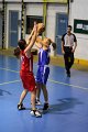 basket8570130