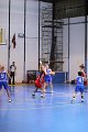 basket8570131