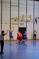 basket8570133