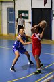 basket8570135