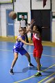 basket8570136
