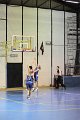 basket8570144