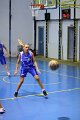 basket8570146