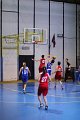 basket8570147