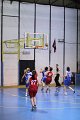 basket8570148