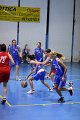 basket8570151