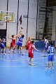 basket8570156