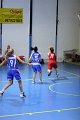 basket8570157