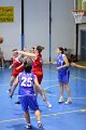 basket8570158