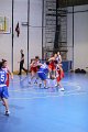 basket8570159